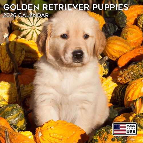 Golden retriever pups calendar - retriever,
