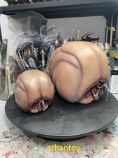 Custom Starship Troopers