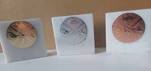 Swimming medals mounted on - mounted,