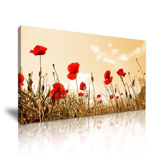 Red poppy flower canvas wall - flower,
