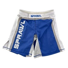 Sprawl Shorts Mens Blue Size