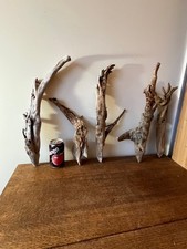 Driftwood Pieces x 5 best