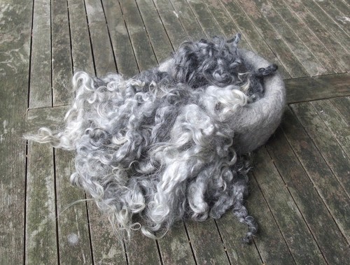 British gotland wool - gotland, wool: