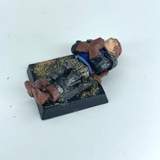 Men At Arms Casualty - Citadel