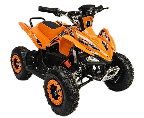1000w electric quad - electric, 800w