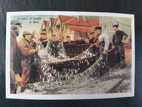 Catch sprats deal c - sprats, deal,