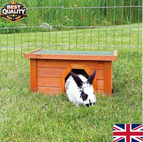 Bunny business small - bunny,