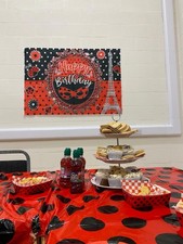 Ladybug Miraculous Birthday