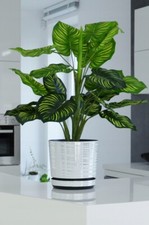 White Plastic Flower Plant Pot