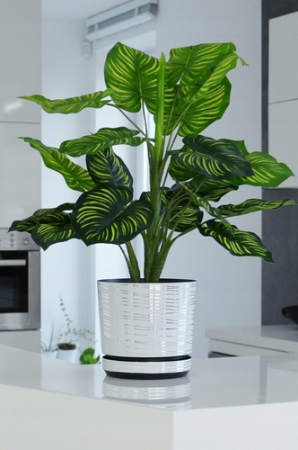 White plastic flower - flower, plant