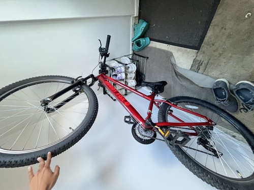 Bicycle red used for months - for,