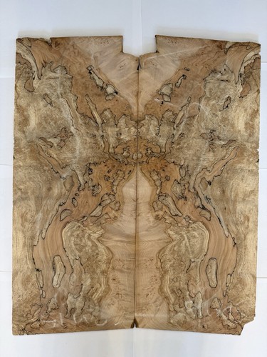 Spalted maple guitar - guitar, laminate