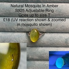 Natural Mosquito In Amber S925