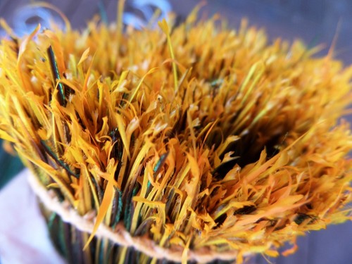 Ifs golden olive peacock - ifs,