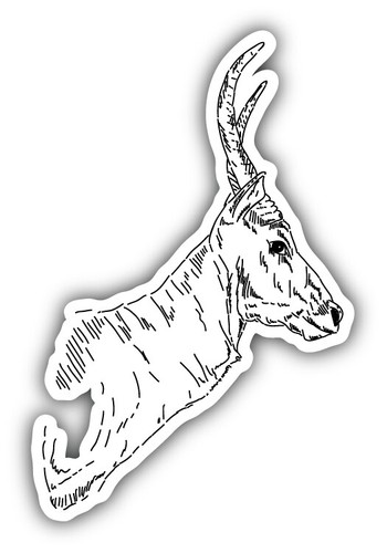 Car sticker antelope - sticker, impala