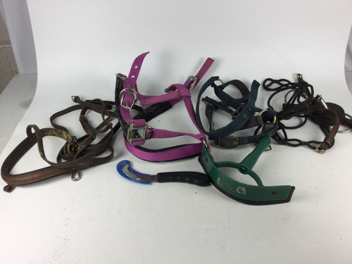 Misc horse tack x bridles - horse,