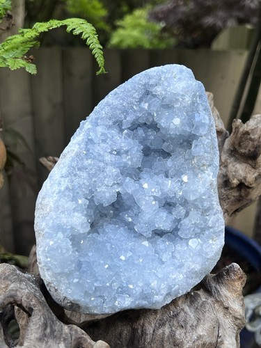 Celestite open cluster geode - open,