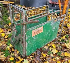 Tubar Calf Cattle Dehorning