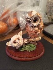 Border Fine Arts Tawny Owl And