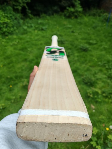 Pro 15000 cricket bat - cricket,