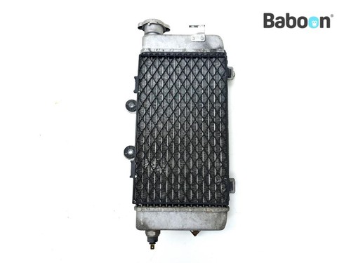 Radiator right honda 1000 - radiator,