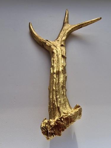 Gold roe antler dog - roe, antler/dog