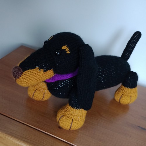 Hand knitted dachshund - hand,