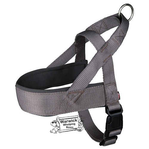Dog harness padded - harness,
