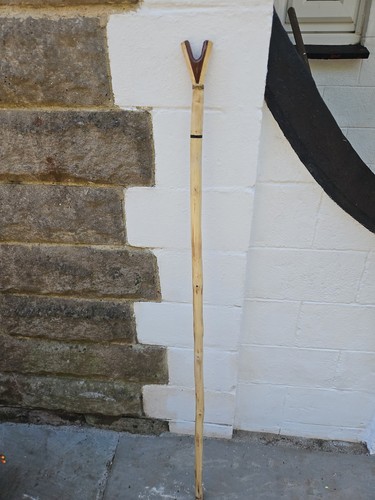 Thumbstick walking staff