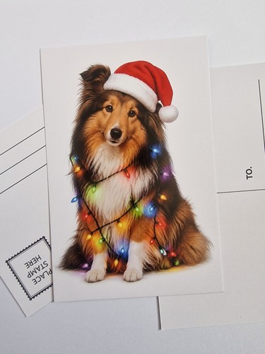 Sheltie rough collie christmas - sheltie,