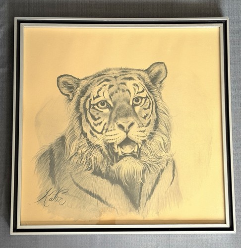 Martin katon vintage 1960 - martin,