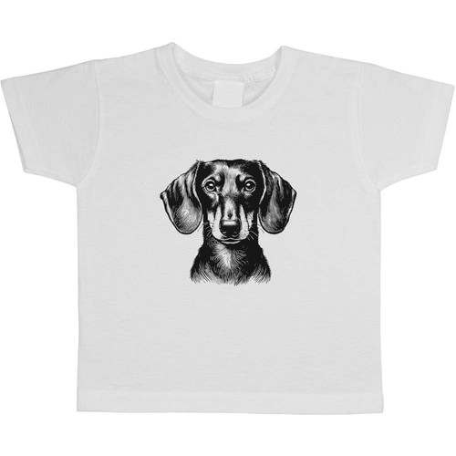 Dachsund dog portrait - dog, portrait'