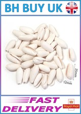 40g AQUARIUM SNAIL SHELLS