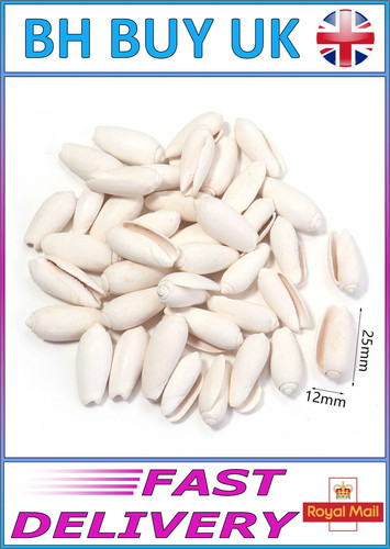 40g aquarium snail shells - 40g,