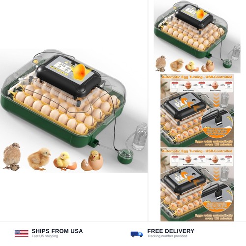 Egg incubator for hatching - egg,