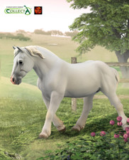 Boulonnais French Draft Horse