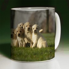 LABRADOR PUPS MUG #2