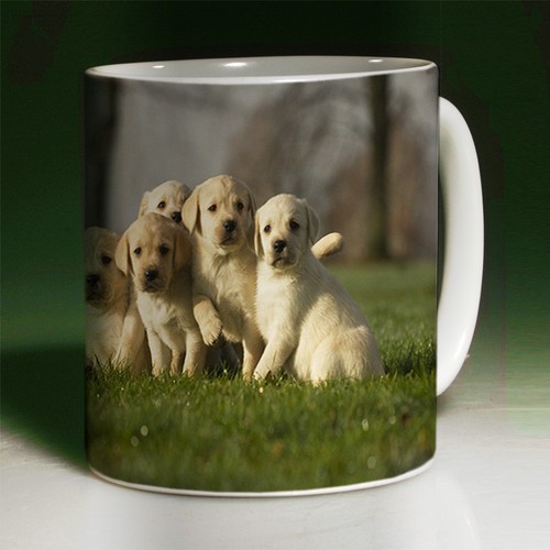 Labrador pups mug 2 - labrador,