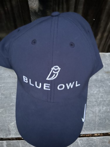 Nwt blue owl capital hat - blue, cap