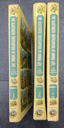 Vintage 1964 the illustrated - the,