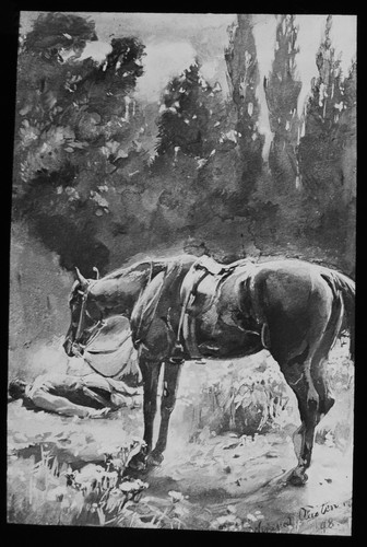 Black beauty no25 1909 - no25,