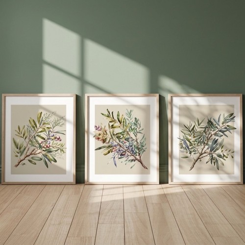 Set olive tree botanical - olive,