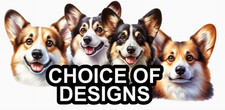 Cardigan welsh corgi self - cardigan,