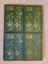 Familiar Wild Flowers (c.1900)