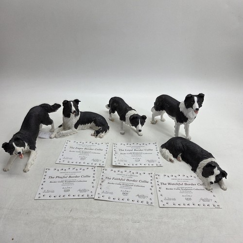 Danbury mint border - mint, collie