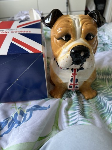 British bull dog cookie - dog, jar