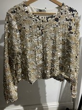 Zara Silver Sequins Top