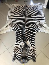 Burchell's Zebra animal rug