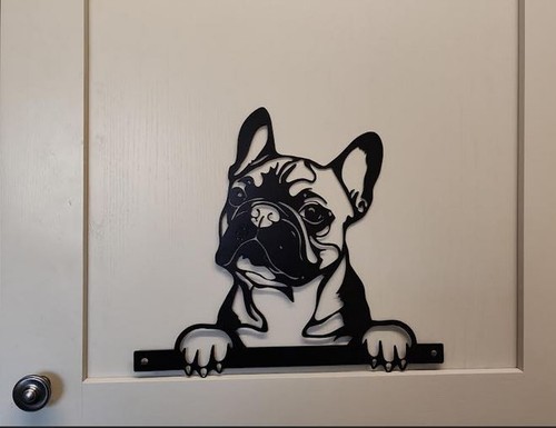 French bulldog boston - french,