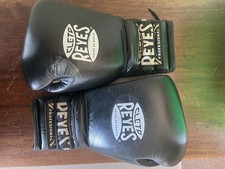 Cleto Reyes Adult Boxing
